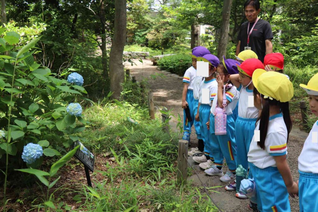 5/27(水)　牧野記念庭園に行ってきました🌿
