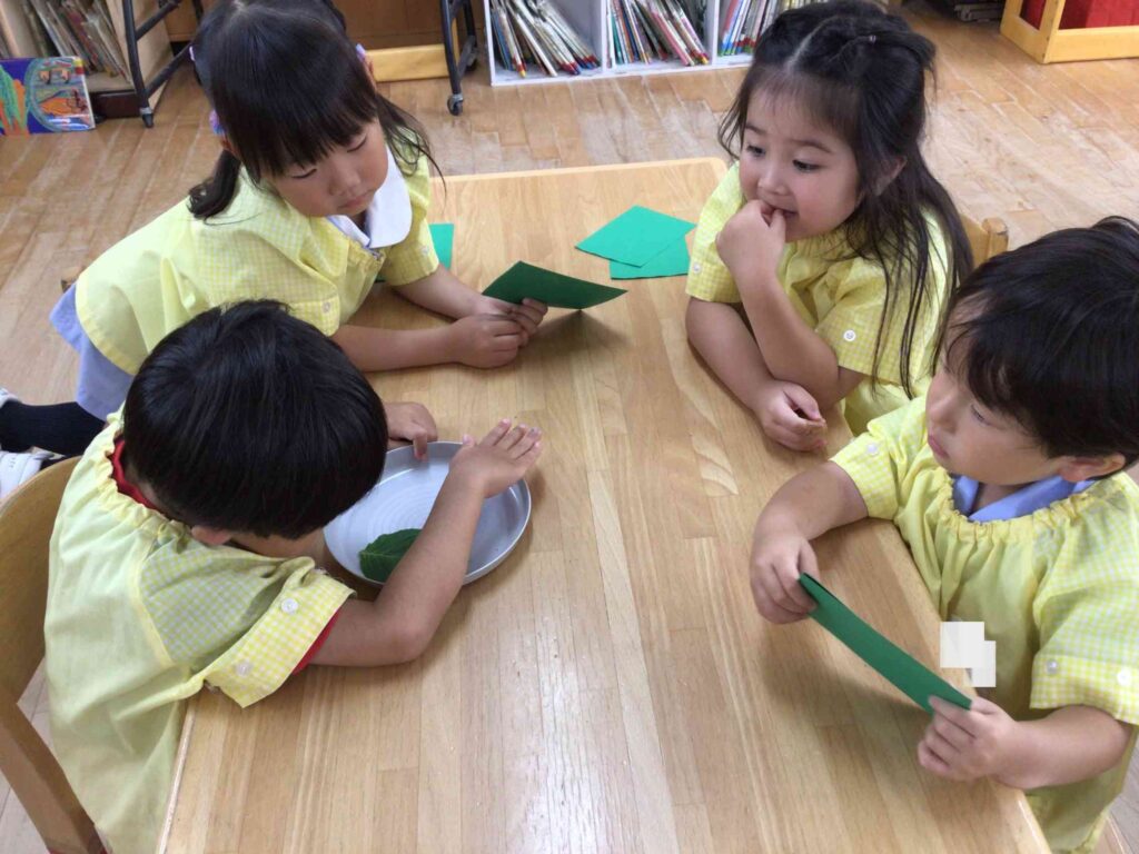 6/5（金）あじさいの葉っぱってどんな形してるんだろう？